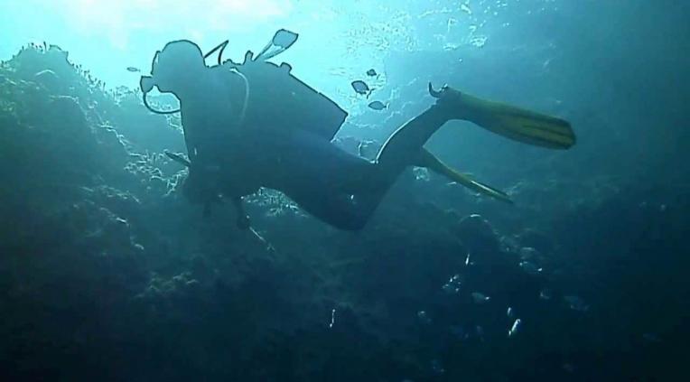  Scuba diving